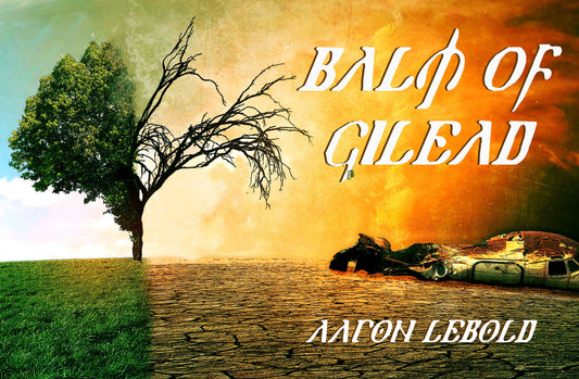 Balm Of Gilead by Aaron Lebold paperback